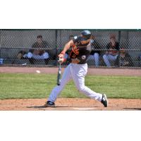 Steve Lombardozzi connects for the Long Island Ducks