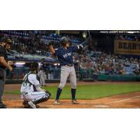 Max Burt of the Somerset Patriots at the plate