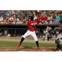 Rome Braves at the plate