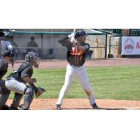 Johnni Turbo of the Long Island Ducks at bat