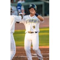 Jake Means of the Columbia Fireflies receives a greeting at home plate