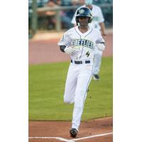 Columbia Fireflies center fielder Diego Hernandez