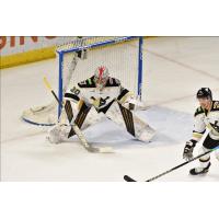 Wheeling Nailers goaltender Tommy Nappier