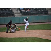 Tri-City Dust Devils at bat