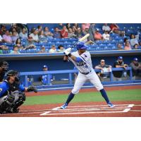 High Point Rockers shortstop Tyler Ladendorf