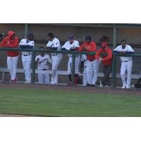 Tri-City Dust Devils dugout