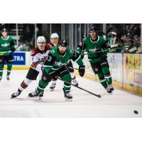 Texas Stars forward Adam Mascherin