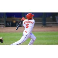 Nate Fassnacht of the Jersey Shore BlueClaws