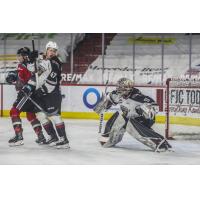 Vancouver Giants goaltender Trent Miner