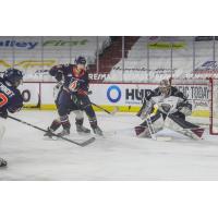 Vancouver Giants goaltender Trent Miner
