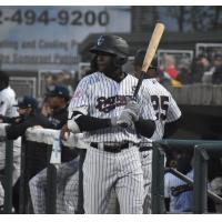 Somerset Patriots outfielder Estevan Florial