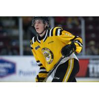 Sarnia Sting defenseman Ryan Mast