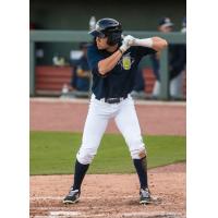 Darryl Collins of the Columbia Fireflies