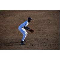 Tri-City Dust Devils in the field