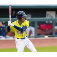 Maikel Garcia of the Columbia Fireflies