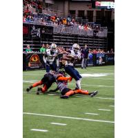 Sioux Falls Storm battle for yardage against the Bismarck Bucks