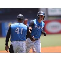 Tampa Tarpons infielder Chad Bell received congratulations from Michel Hernandez