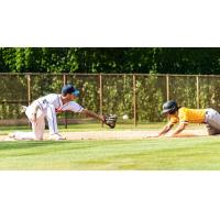 St. Cloud Rox make a play in the field