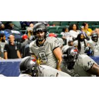 Carolina Cobras quarterback Sam Castronova
