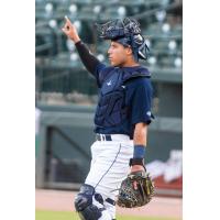 Columbia Fireflies catcher Omar Hernandez