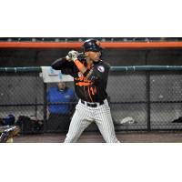 Johnni Turbo of the Long Island Ducks