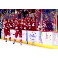 Allen Americans celebrate a goal against the Utah Grizzlies