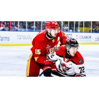 Defensemen Emile Chouinard (left) with the Baie-Comeau Drakkar