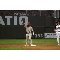 Winnipeg Goldeyes on game night