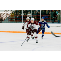 Caden Taylor of the Peterborough Petes vs. the Sudbury Wolves