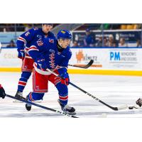 Kitchener Rangers in action