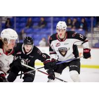 Forward Matthew Edwards with the Vancouver Giants