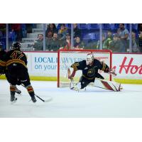 Vancouver Giants goaltender Brett Mirwald