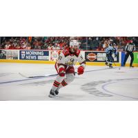 Grand Rapids Griffins forward Austin Watson