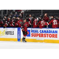 Vancouver Giants right wing Cameron Schmidt