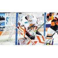 Fort Wayne Komets goaltender Brett Brochu