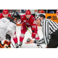Allen Americans ready for action