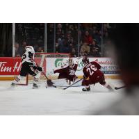 Peterborough Petes goaltender Easton Rye in action