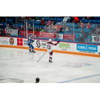 Peterborough Petes right wing Nico Addy reacts after his goal against the Sudbury Wolves