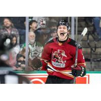 Tucson Roadrunners react after a goal