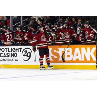 Tucson Roadrunners forward Josh Doan