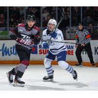 Peterborough Petes defenceman Genc Ula (left) vs. the Brampton Steelheads