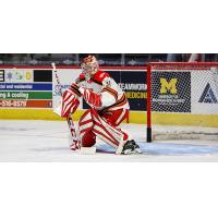 Grand Rapids Griffins goaltender Jan Bednar
