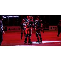 Grand Rapids Griffins celebrate a goal