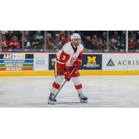 Grand Rapids Griffins defenseman Tory Dello