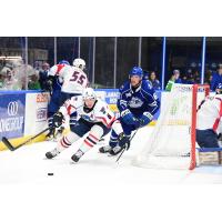 Springfield Thunderbirds defenseman Corey Schueneman