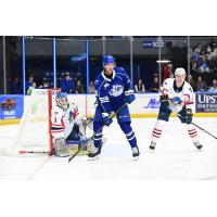 Syracuse Crunch's Jack Finley and Springfield Thunderbirds' Vadim Zherenko and Leo Lööf on game night