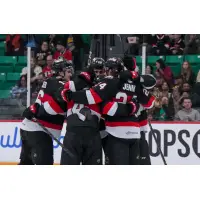 Belleville Senators celebrate win