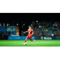 Phoenix Rising in action