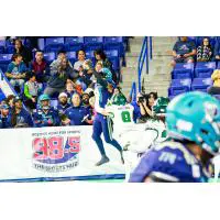 Massachusetts Pirates make a contested catch against the Green Bay Blizzard