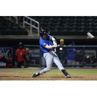 Luke Adams at bat for the Biloxi Shuckers